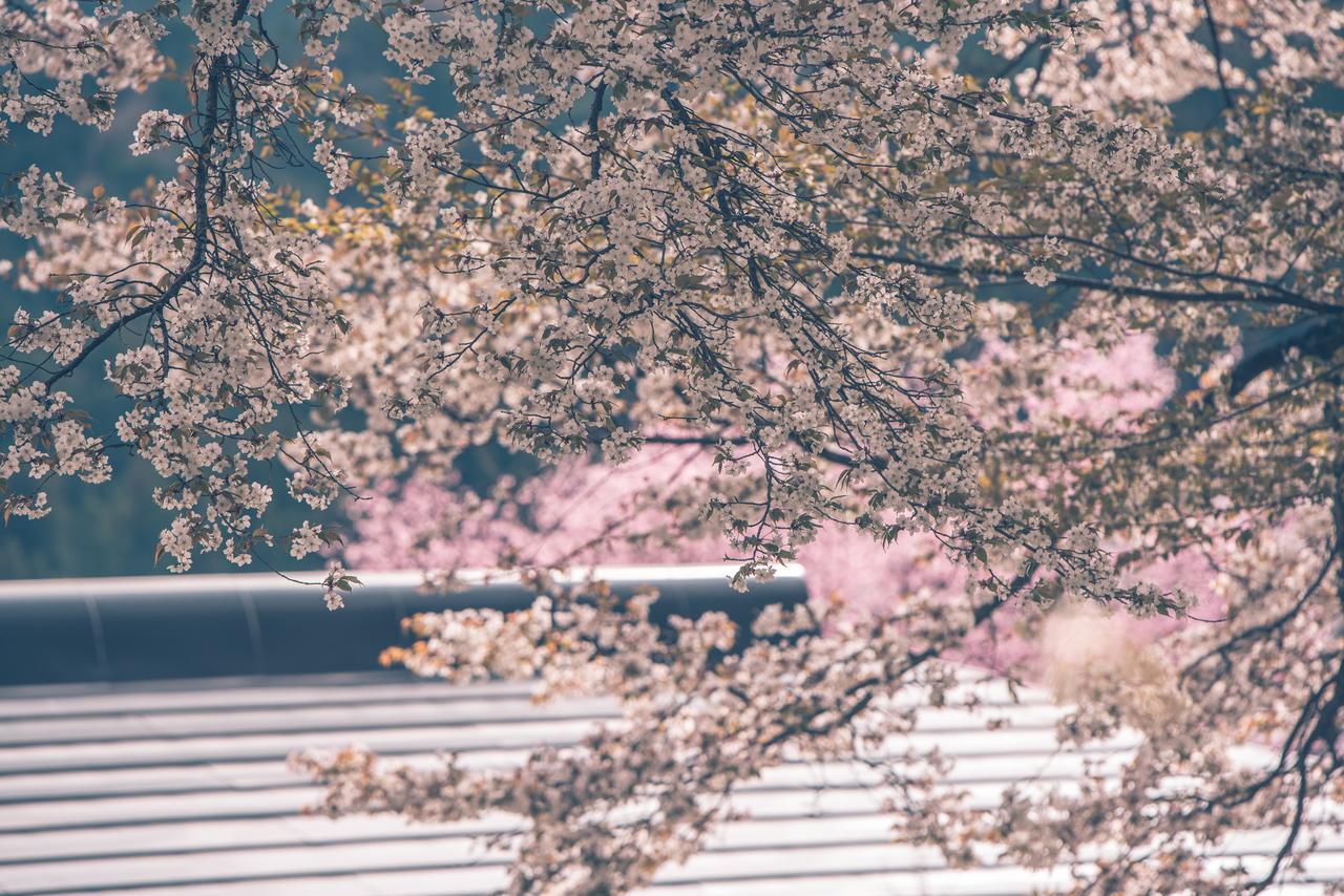 Kaze No Hibiki Hotel Nikkō Luaran gambar